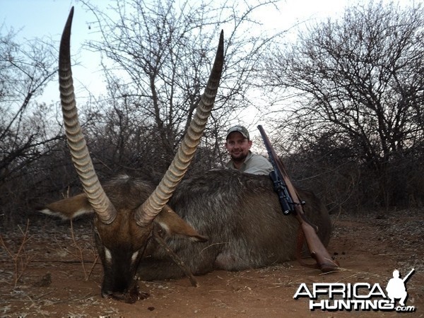 Waterbuck