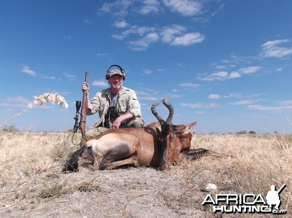 Hartebeest taken near Hochfeld Namibia