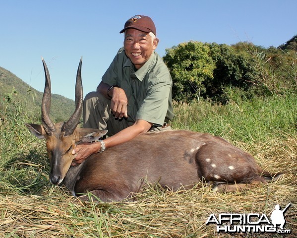 Cape bushbuck with Crusader Safaris