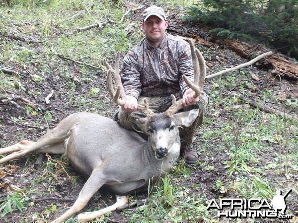 2012 Mule Deer