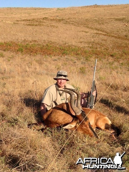 2014 Red Hartebeest