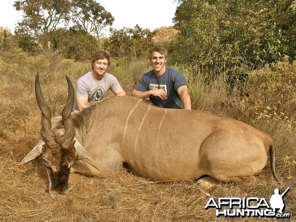 Eland - Limpopo Valley