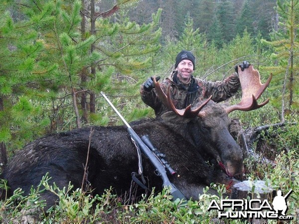 Idaho Shiras Bull