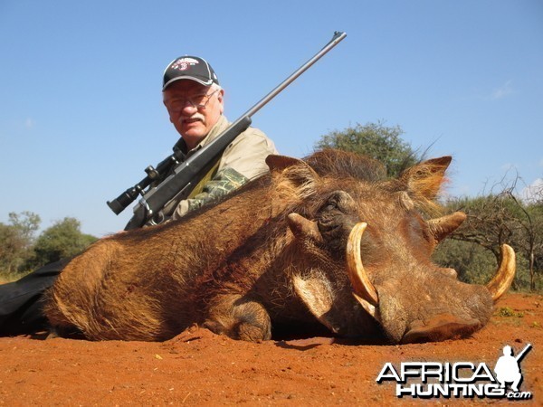 The biggest, meanest warthog of the two I took.