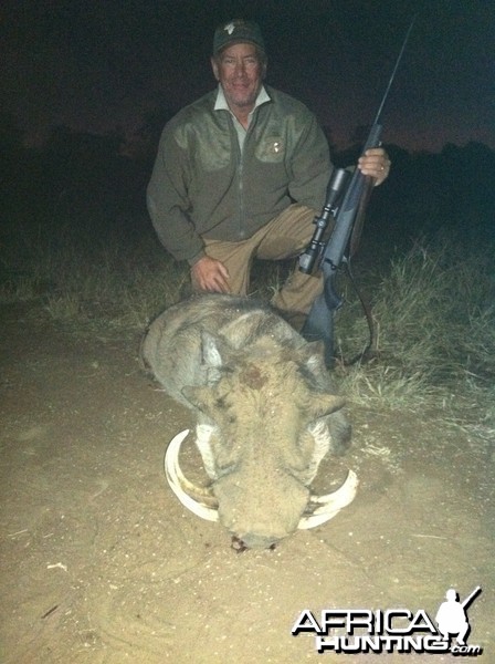 Free-range Warthog, June 2014