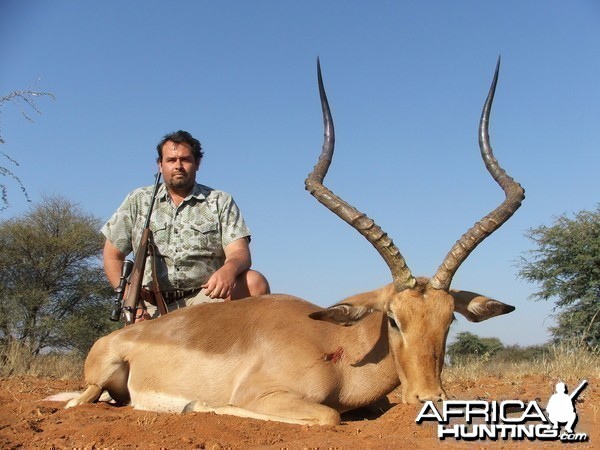 Impala Limcroma Safaris