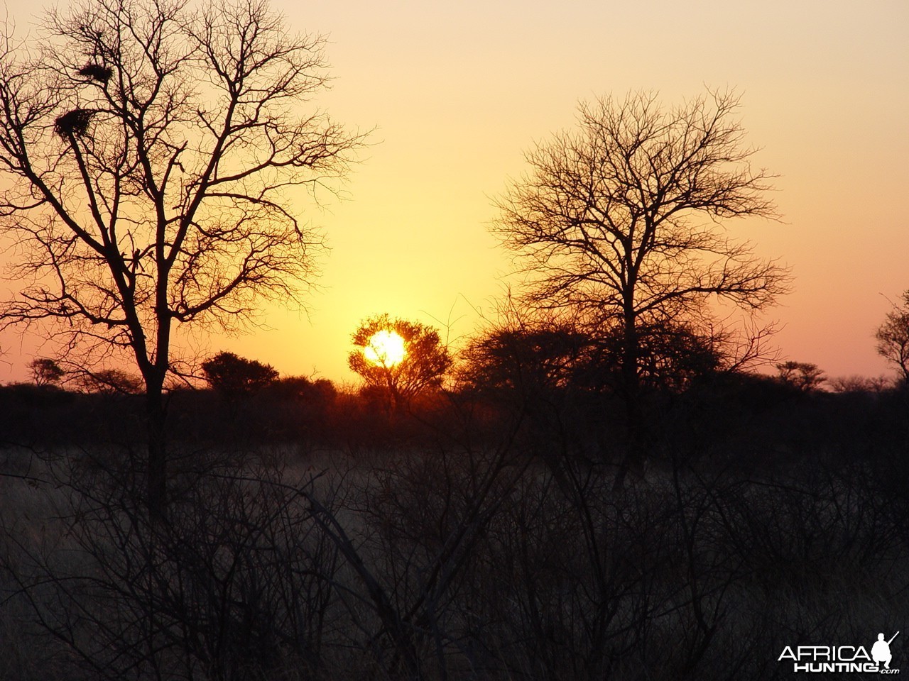African sunrise at Limcroma