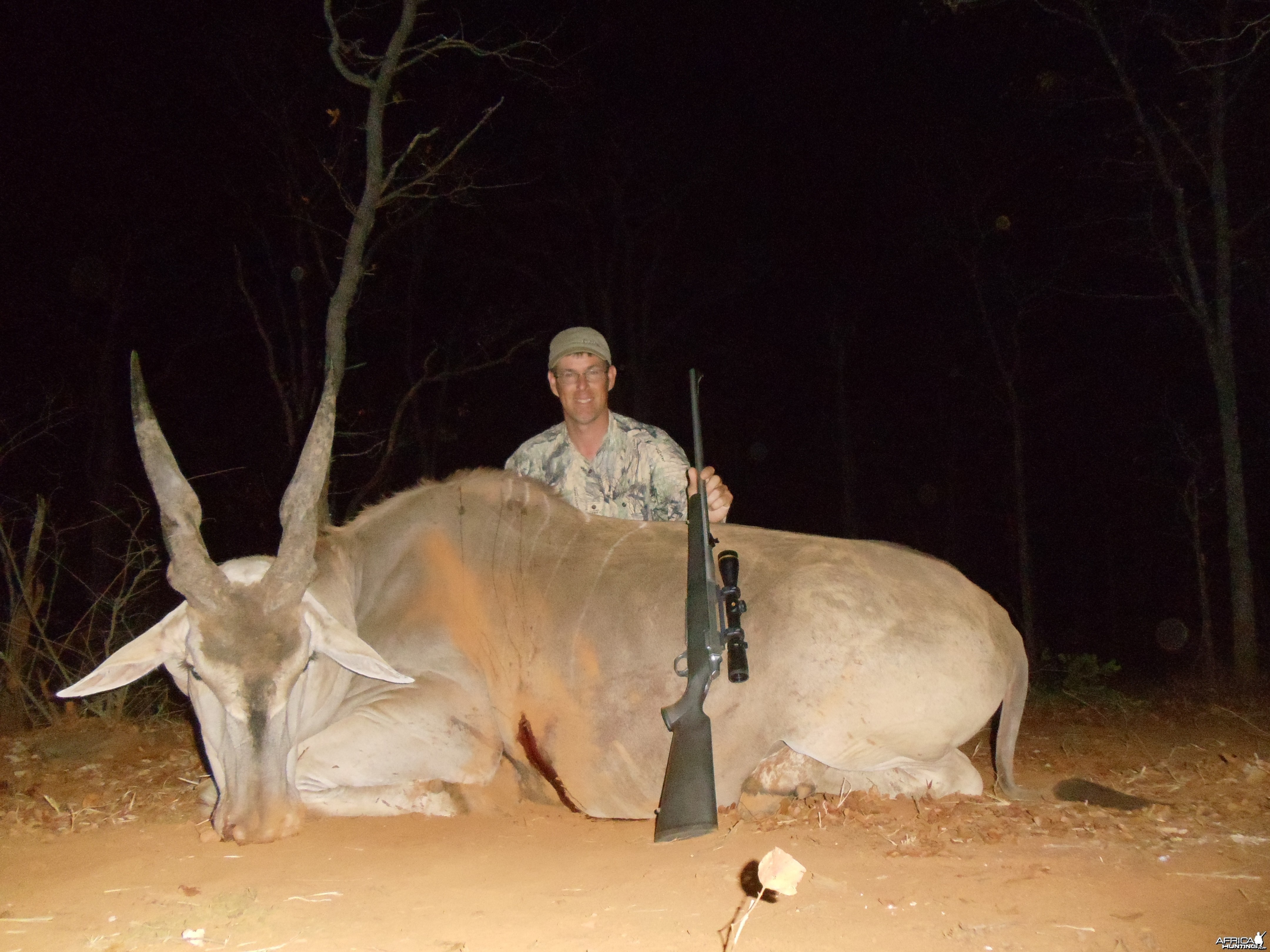 blonde eland zim