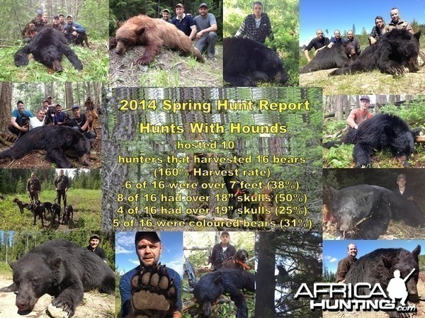 British Columbia Black Bear Hunt