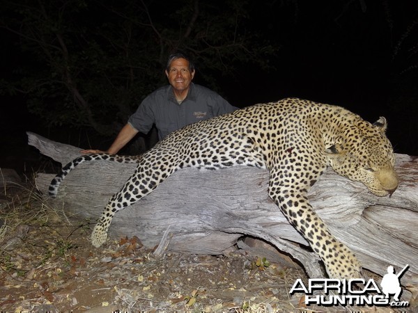 leopard ~ Limpopo Province, RSA