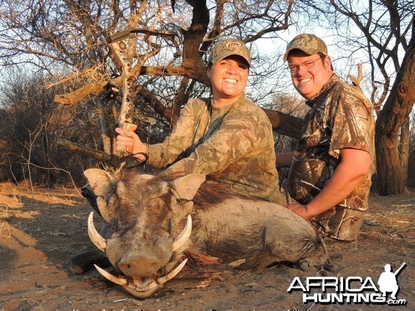 Warthod bowhunt Limcroma