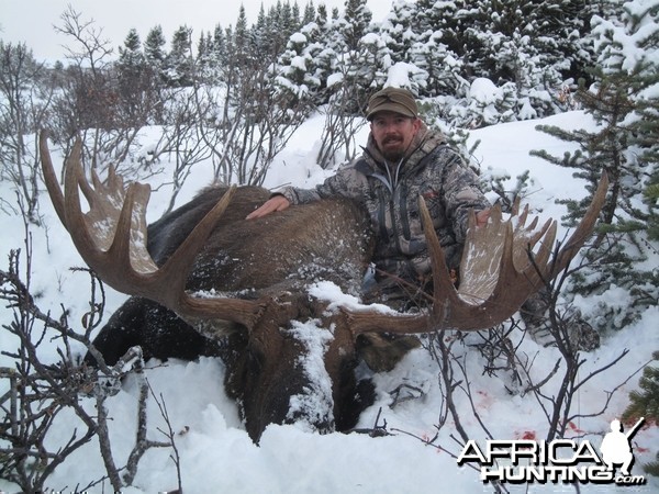 British Columbia Moose Hunt