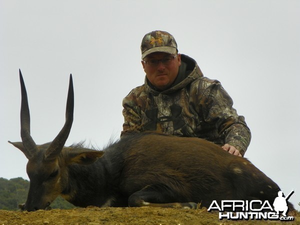 Bushbuck 2014