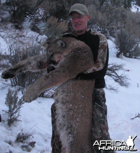 Utah Cougar Hunts