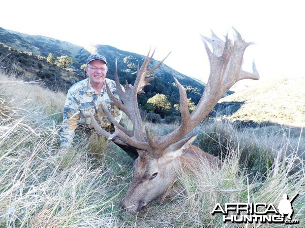 New Zealand Red Deer