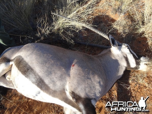 oryx entrance wound