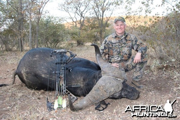 Cape Buffalo