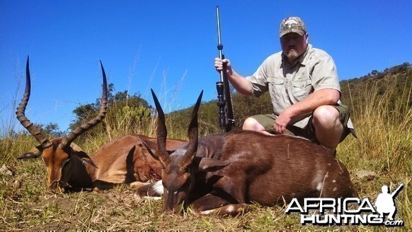 Impala Bushbuck