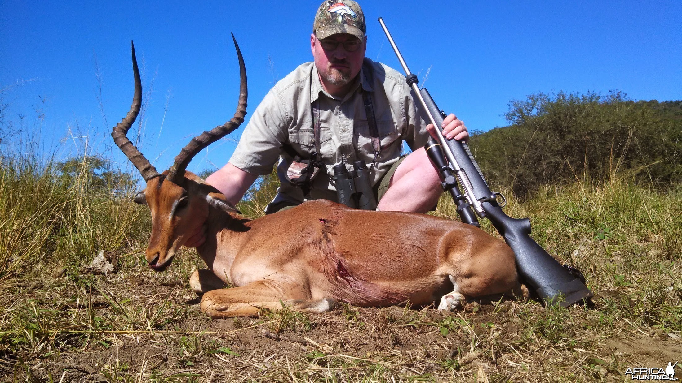 Impala