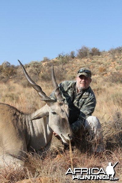 40&quot; Cape Eland