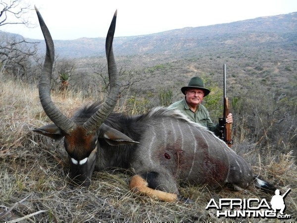 Nyala