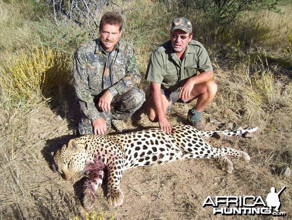 Leopard Hunt Namibia