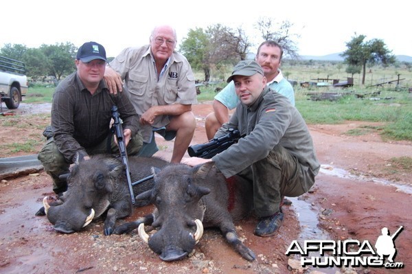 Warthog Cull Hunt