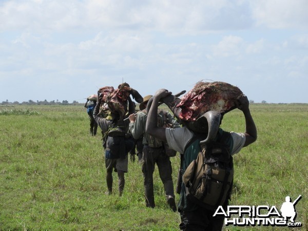 Carrying out meat and trophies - Coutada 14