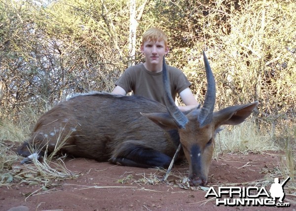 13'' bushbuck