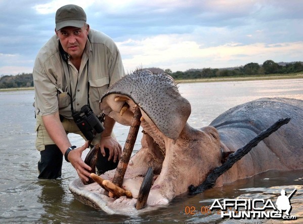 HIPPO Hunt Available for 2014