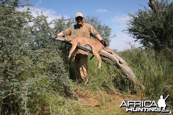 Hunting Caracal - Taras Volgemut Russia