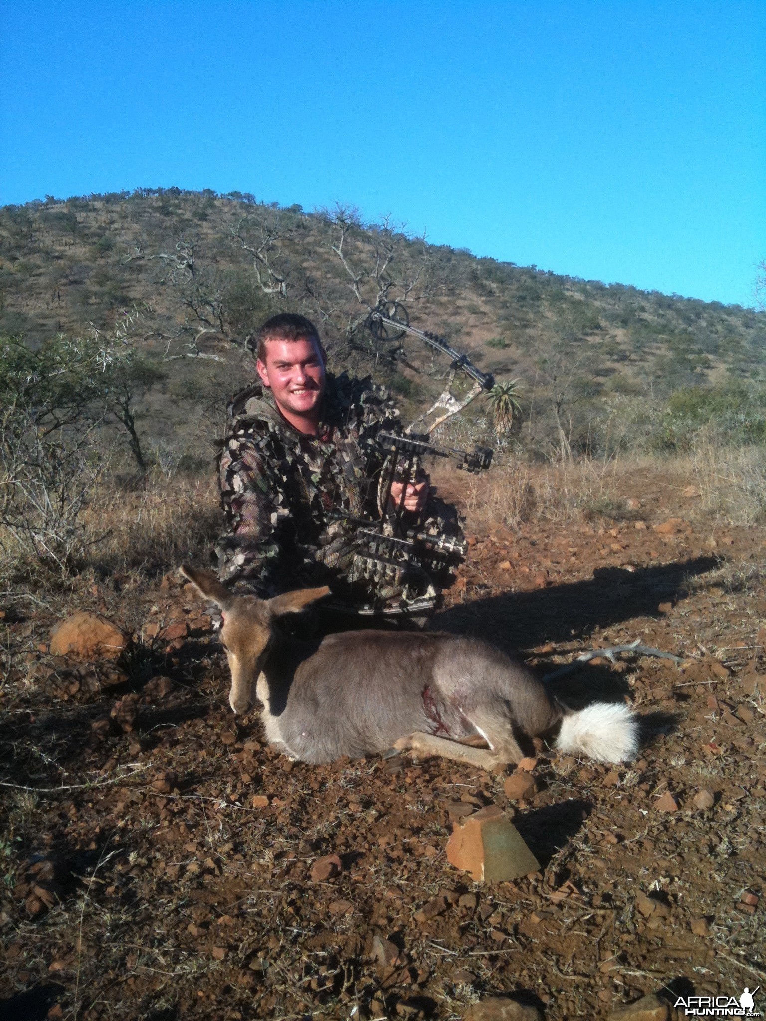 Mountain Reedbuck