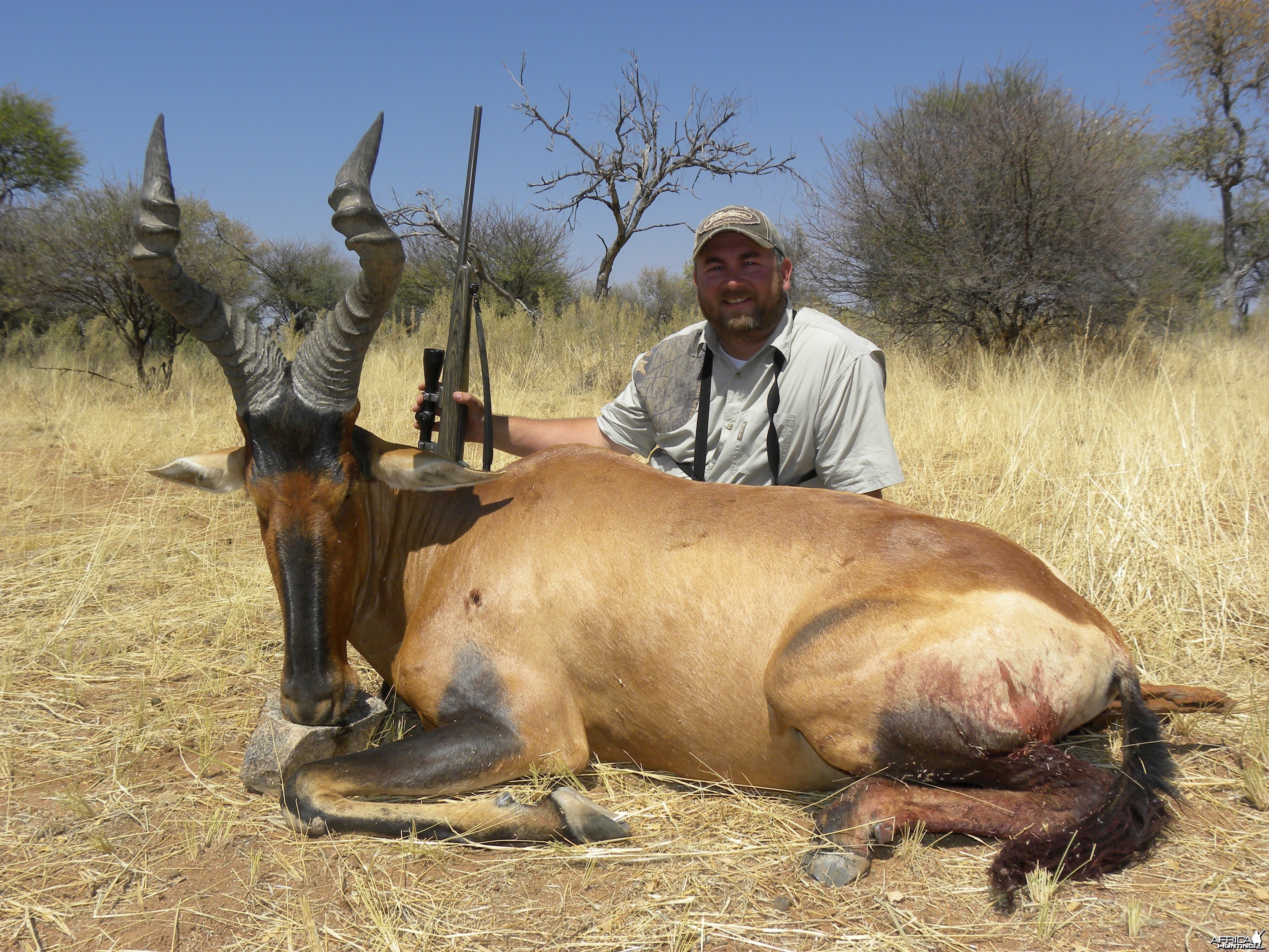 Monster 25 inch Namibian Hartebeest