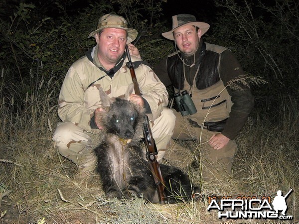 Hunting Brown Hyena - Borris &amp;  Jaaka Slovenia