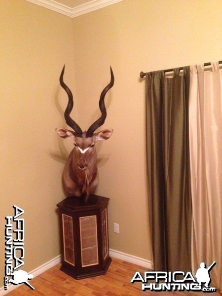 Kudu Pedestal