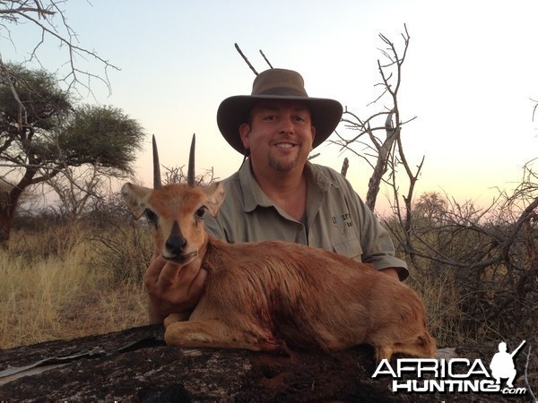 Steenbok