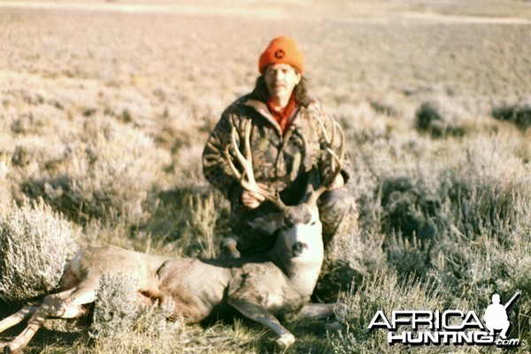 Wyoming Mule Deer