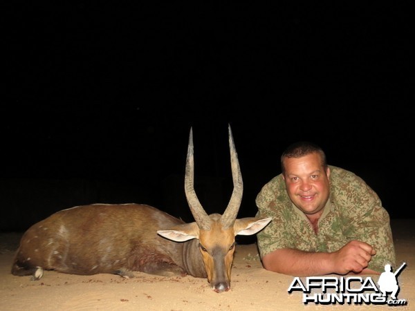 Bushbuck