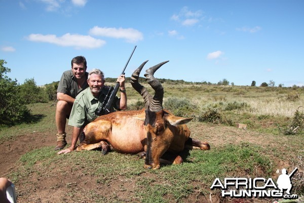 Red  Hartebeest  2014