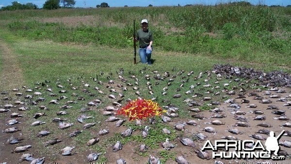 Bird hunting in Argentina