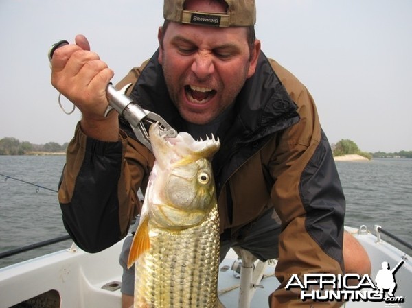 Tiger Fishing on the Zambezi