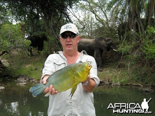 Fishing on the Zambezi