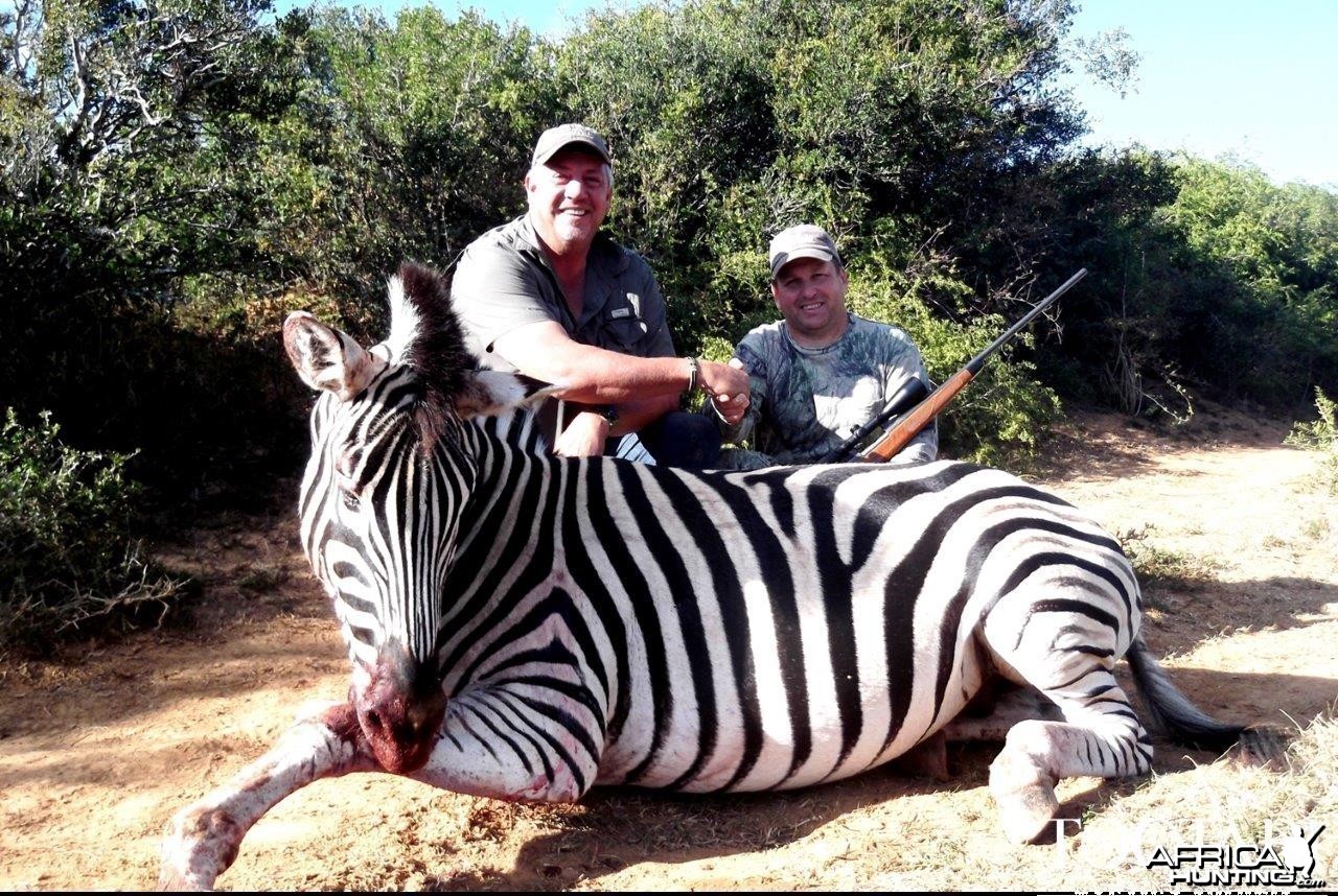 Zebra