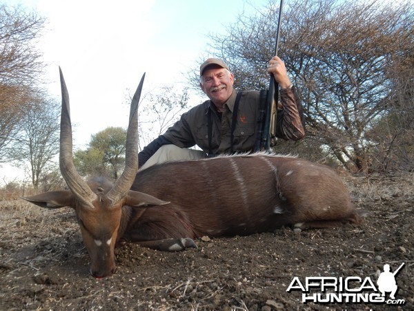 Bushbuck 2013