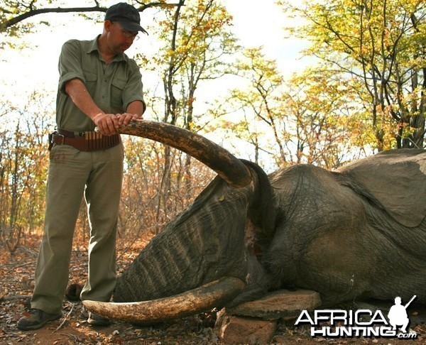 Zimbabwe Elephant 2012