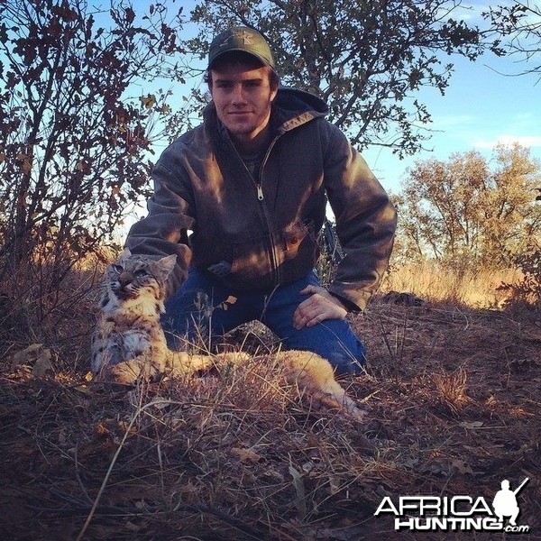 Drew got Tx bobcat