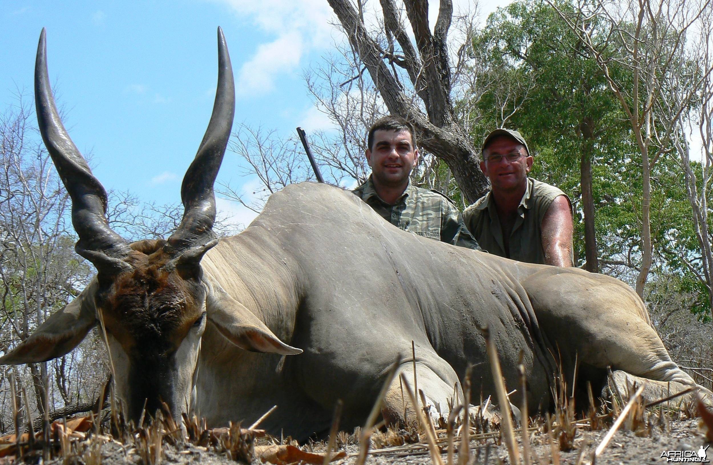 East african eland Tanzania