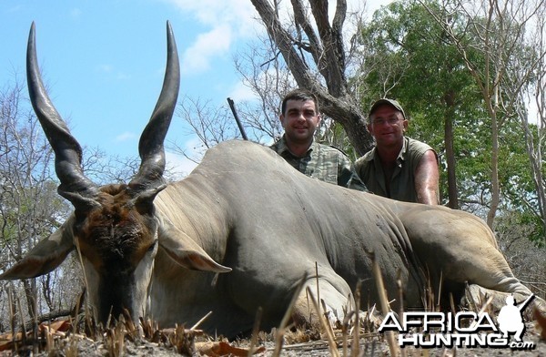 East african eland Tanzania