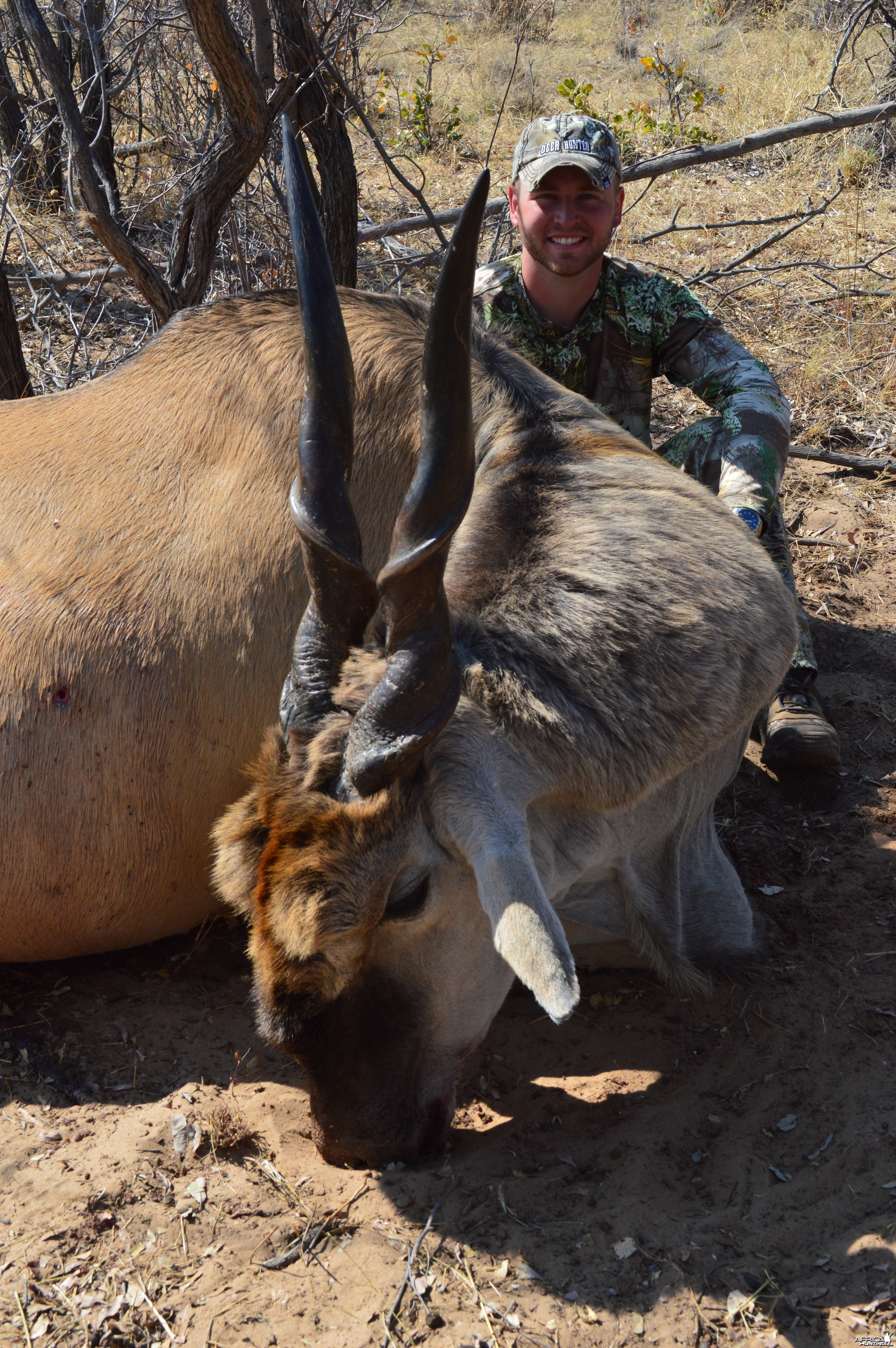 Eland