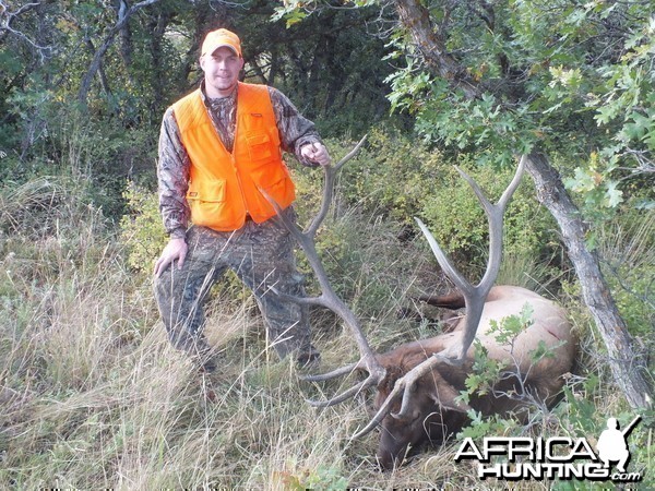 Colorado Elk 2014